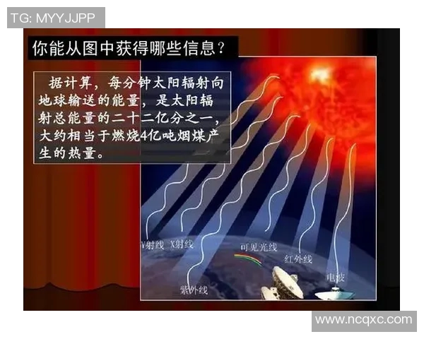 观众停车区域划分的重要性及其对活动顺利进行的影响分析